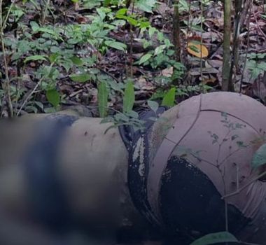 Imagem - Corpo é encontrado com sinais de violência em área de mata em Bragança