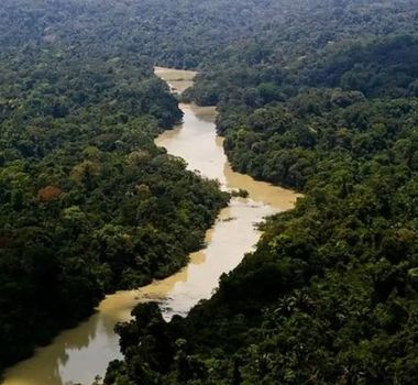 Imagem - Câmara aprova redução de área protegida da Flona do Jamanxim, no Pará