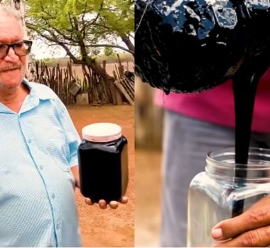 Imagem - ANP confirma que substância encontrada em sítio no Ceará é petróleo cru