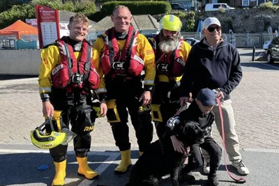 Labrador chamada Bailey foi salva por equipe marítima depois de ficar ilhada entre rochas e ondas fortes