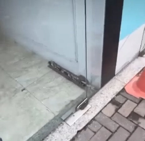 (O animal silvestre entrou no salão e aguardou pelo resgate)