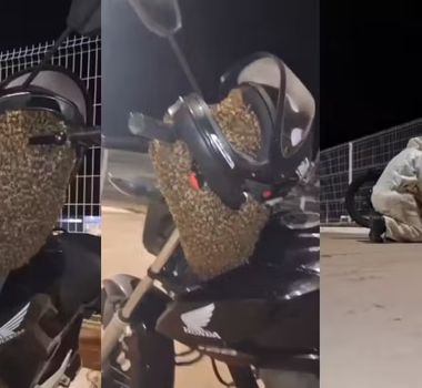 Imagem - Enxame de abelhas 'toma conta' de moto e mobiliza agentes de saúde no interior de SP