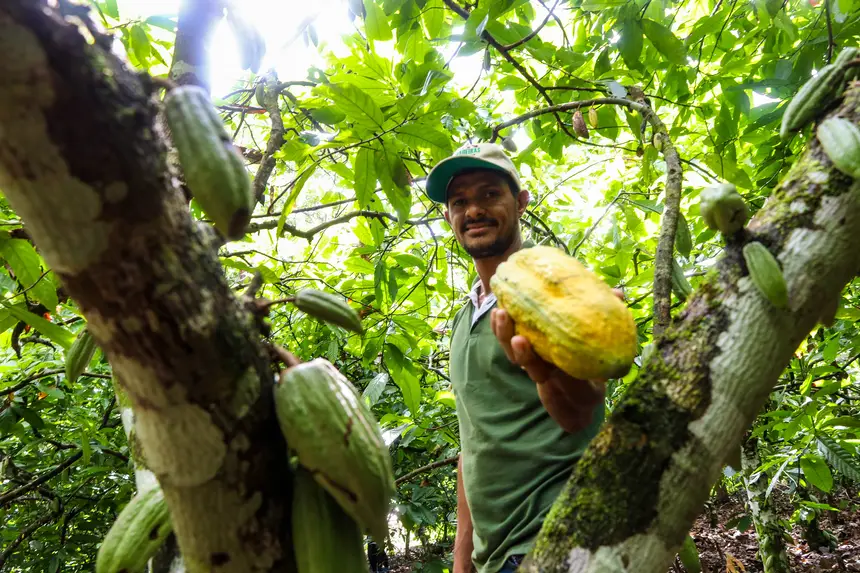  Bioeconomia impulsiona economia do Pará e já movimenta R$ 13,5 bilhões por ano