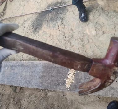 Imagem - Homem é preso em Rondon do Pará após agredir companheira com marteladas na cabeça