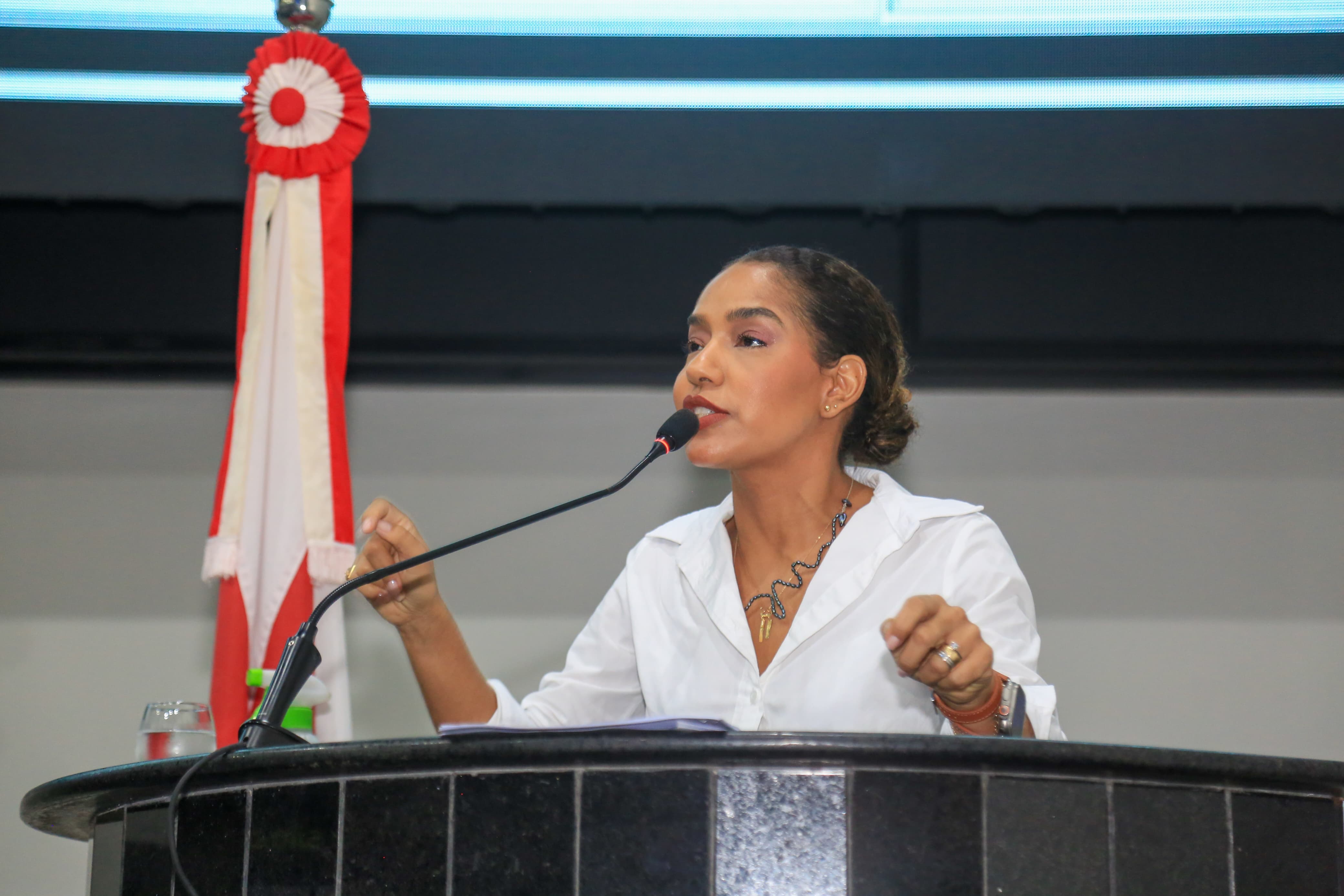Deputada estadual Lívia Duarte enviou monção ao Senado Federal