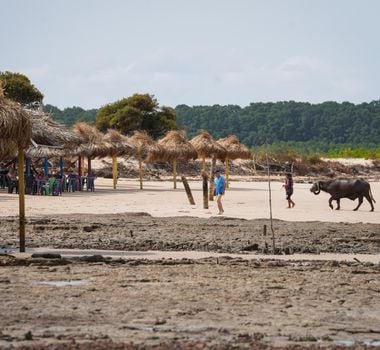 Imagem - Marajó Unido pelo Clima: gestores públicos firmam compromisso