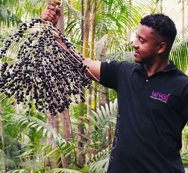 Imagem - Da Amazônia ao mundo: paraense transforma resíduo em solução global