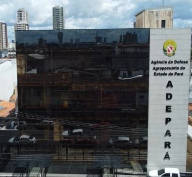 Imagem - Adepará abre seleção com vagas em Belém e municípios do Pará