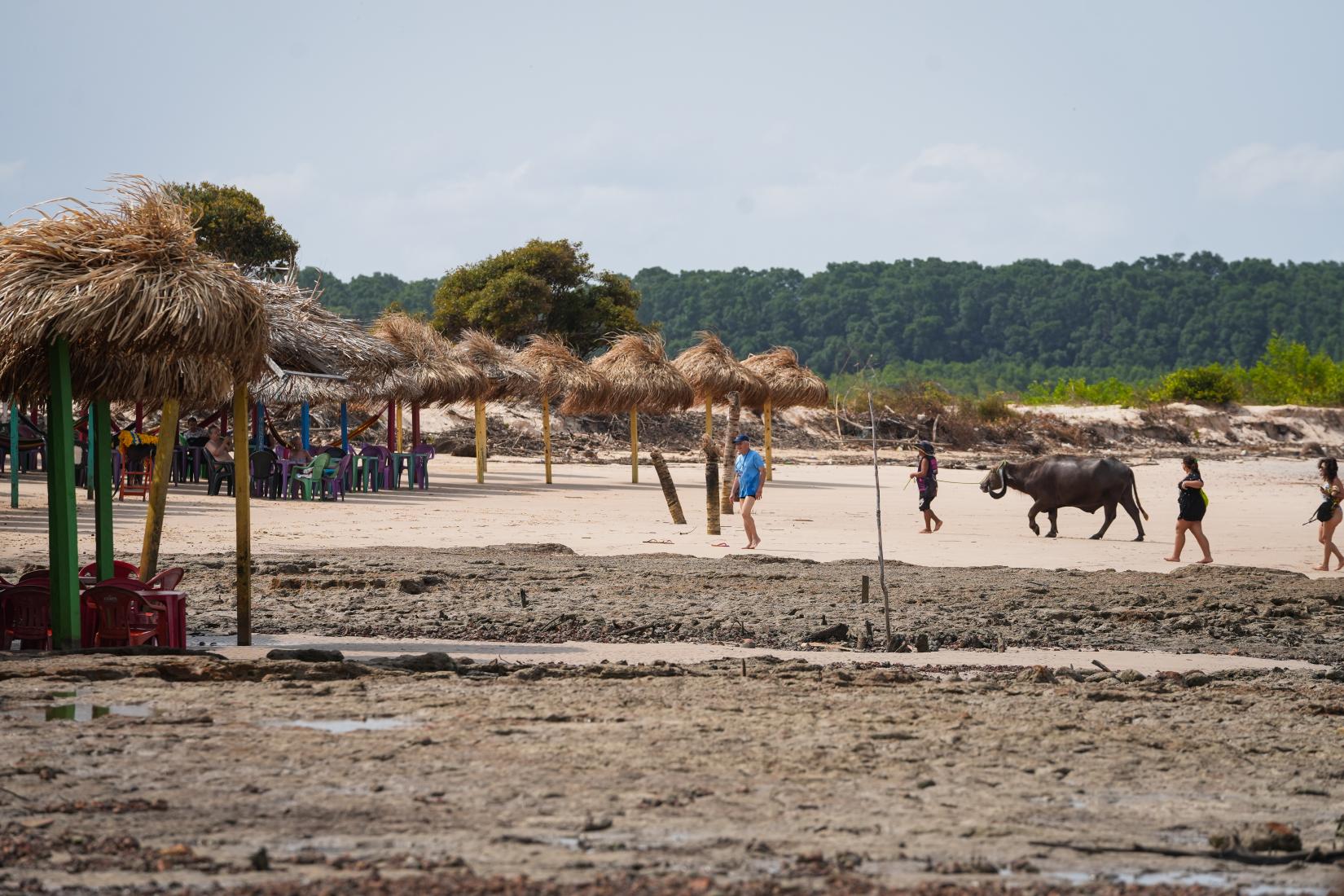 Ilha do Marajó sofre os impactos climáticos que afligem o mundo