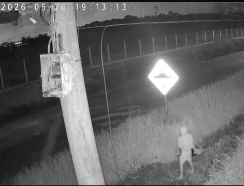 O vídeo circula nas redes sociais e tem gerado preocupação entre motoristas que passam diariamente pela rodovia