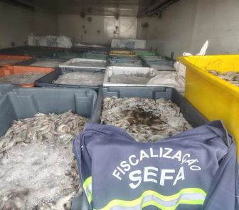 Imagem - Sefa apreende três ônibus e seis toneladas de camarão no Pará