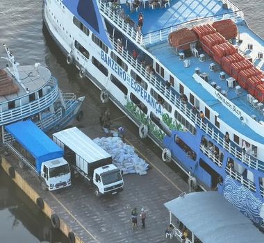 Imagem - Quase 10 toneladas de pirarucu ilegal são apreendidas em embarcação no Pará