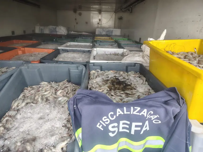 6,75 toneladas de camarão resfriado.