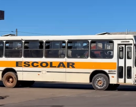 (A cena curiosa foi registrada nesta sexta-feira (29), no município de Dois Irmãos do Tocantins, no interior do Tocantins, e rapidamente viralizou nas redes sociais.)
