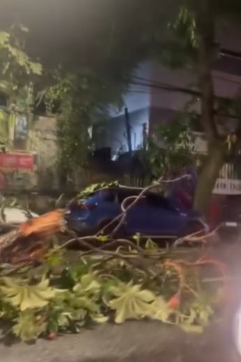 (Estrutura atingiu carros e interditou parte da via, em Belém)