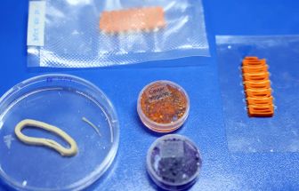 Embrapa produz em laboratório salmão, caviar e anéis de lula veganos
