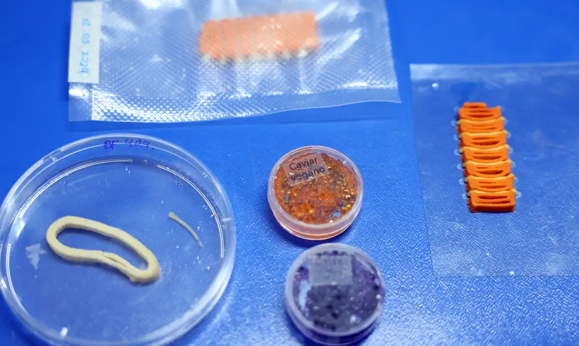 Tecnologia imita sabor e nutrientes dos alimentos em impressão 3D