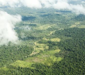 Imagem - Fachin dá 90 dias para governo apresentar plano de retirada na TI Cachoeira Seca