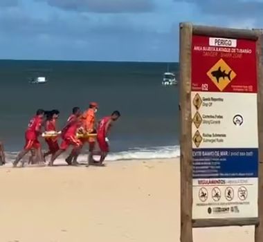 Imagem - Menino de 11 anos é mordido por tubarão na Praia de Piedade, no Grande Recife