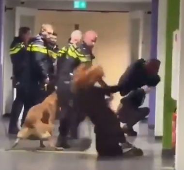 Imagem - Imigrante grávida é agredida e jogada ao chão por policial nos Países Baixos
