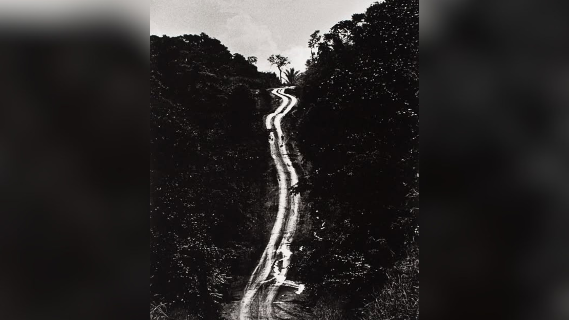 Imagem - Projeto celebra história da Transamazônica e da BR-163