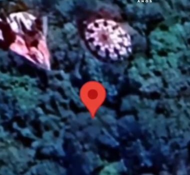 Imagem - Estruturas incomuns em mata do Paraná viralizam no Google Maps após relato de OVNI