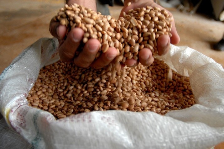 De acordo com o estudo, o quilo do feijão passou de R$ 5,50 no início do ano para R$ 8,52 em abril, refletindo um impacto direto no custo da alimentação das famílias paraenses