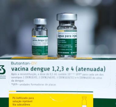 Imagem - Ministério da Saúde alerta vacinados contra dengue há até 21 dias após suspensão preventiva