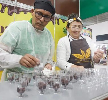 Imagem - Altamira recebe festival internacional que valoriza cacau e chocolate da Amazônia