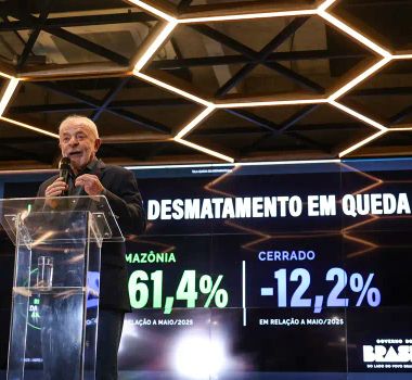 Imagem - Desmatamento na Amazônia cai 61,4% em maio de 2026