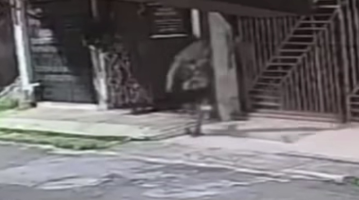Imagem - Criminosos invadem casa e ameaçam família em Belém