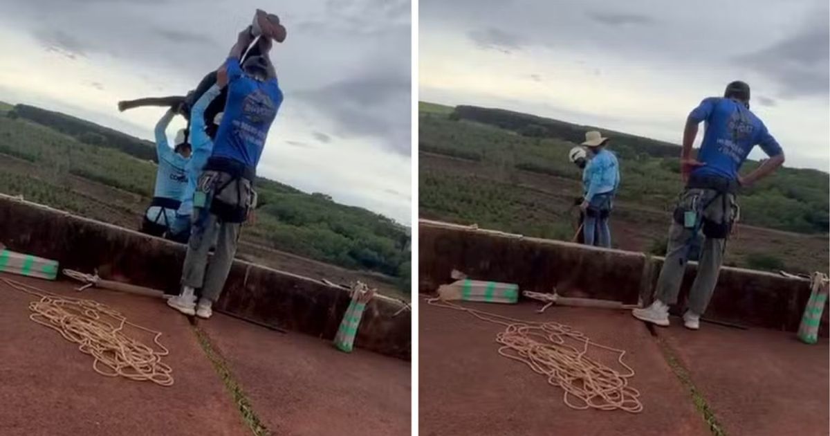 Jovem de 21 anos morre após ser lançada sem corda de plataforma de rope jump em Limeira.