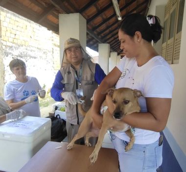 Imagem - Cães e gatos poderão receber vacina antirrábica gratuita em Belém nesta semana