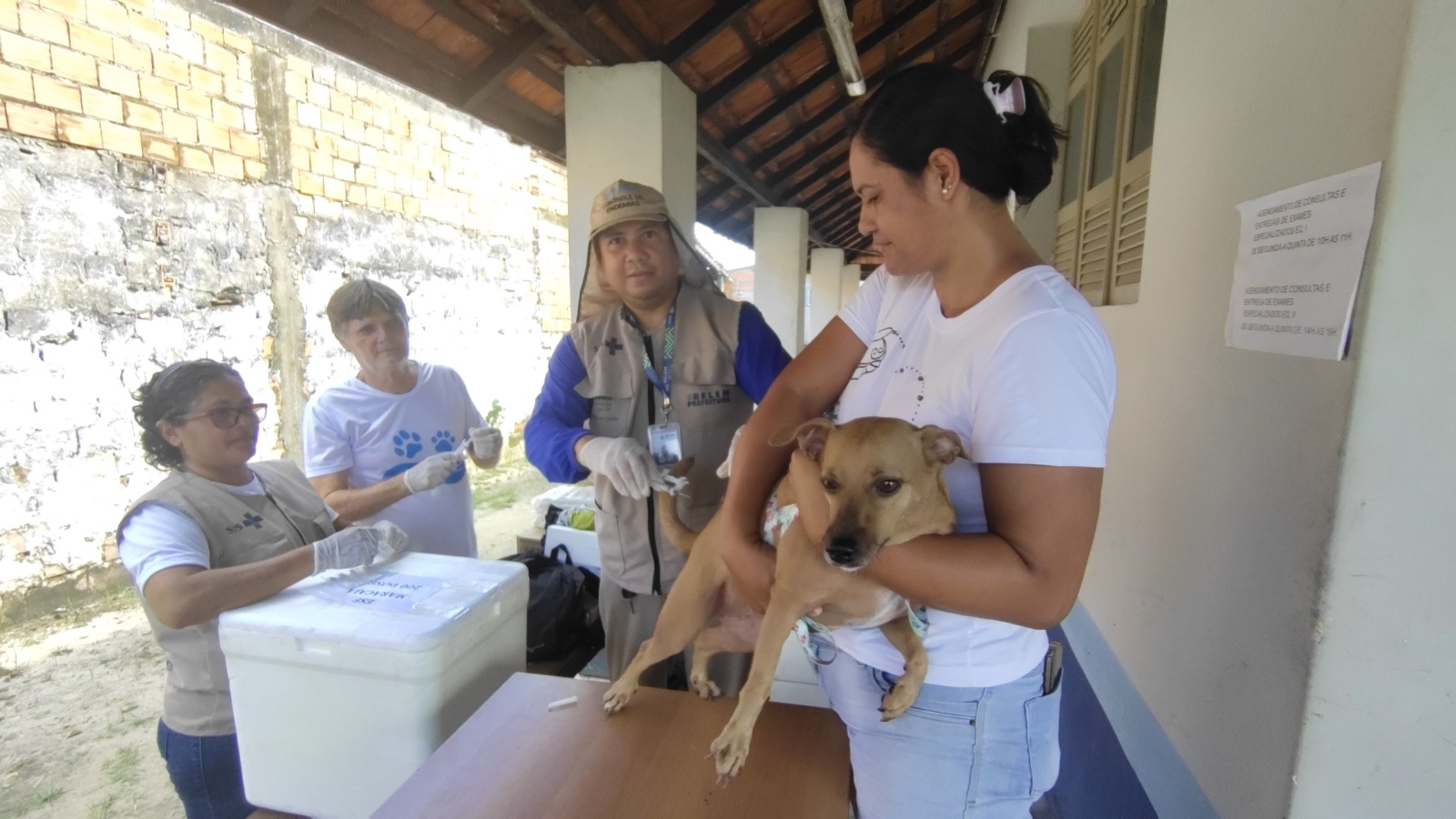 A imunização é destinada a cães e gatos que ainda não receberam a dose anual da vacina