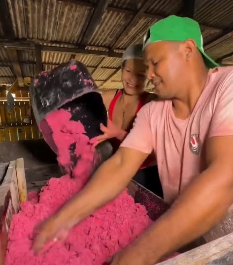 Imagem - Farinha rosa de mandioca chama atenção nas redes sociais