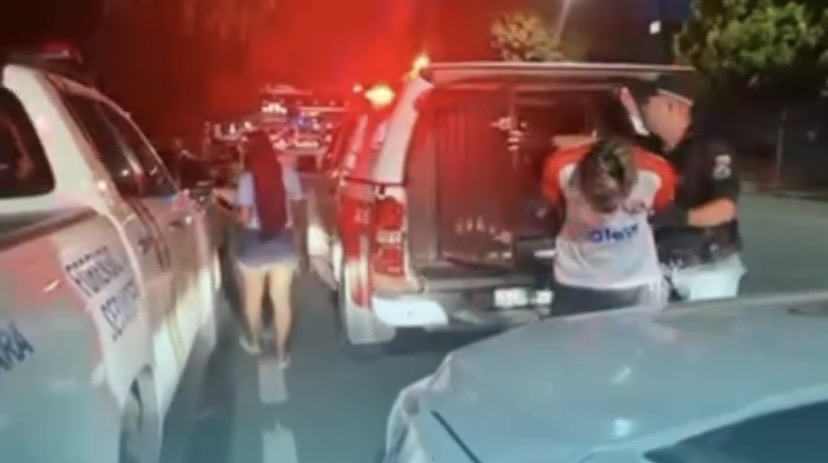 Suspeitos foram localizados pela polícia e encaminhados para a Seccional de São Brás no mesmo dia do crime

