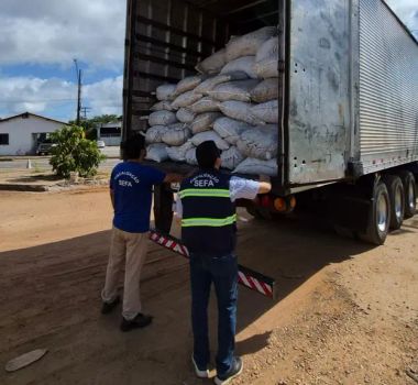 Imagem - Carga de castanha-do-Pará avaliada em mais de R$ 170 mil é apreendida durante fiscalização na BR-316