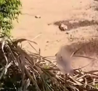 Imagem - Homem é encontrado morto às margens de praia em Outeiro