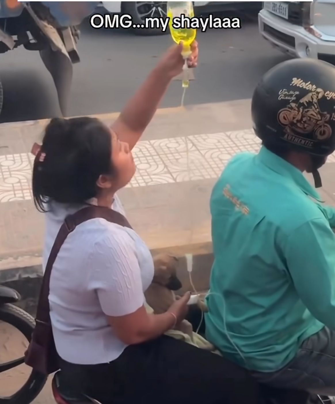 'Mãe de pet’ viraliza ao ser flagrada segurando medicação de cachorrinho durante viagem de moto