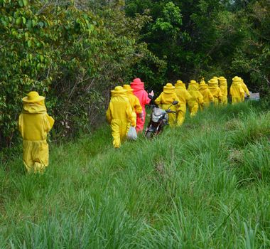 Imagem - Projetos contribuem com a retirada de mais de 6,2 mil pessoas da linha da pobreza no Pará, Maranhão e Tocantins