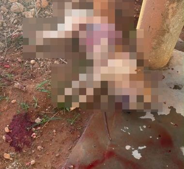 Imagem - Cadela é morta a tiros no município de Tucumã, no Pará