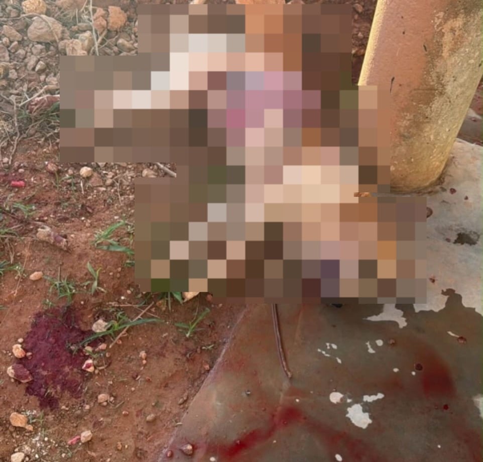 Imagem - Cadela é morta a tiros no município de Tucumã, no Pará