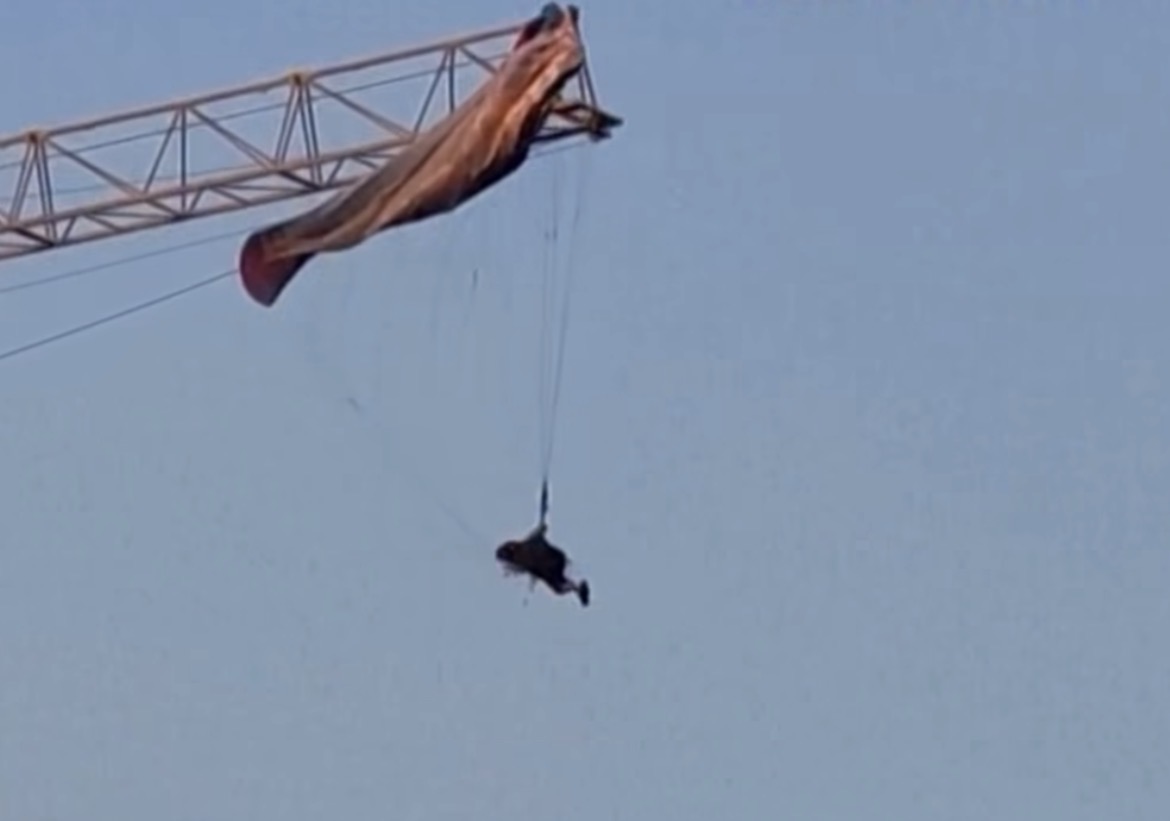 (Parapentista fica preso em guindaste durante voo e é resgatado por bombeiros na China)
