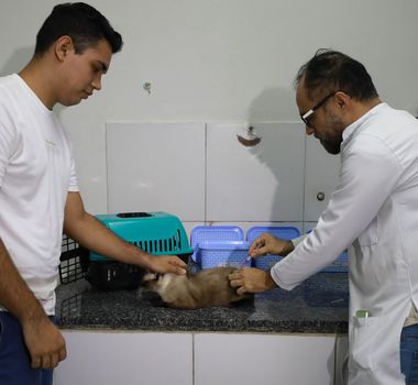 Imagem - Icoaraci recebe carreta de atendimento veterinário gratuito para cães e gatos