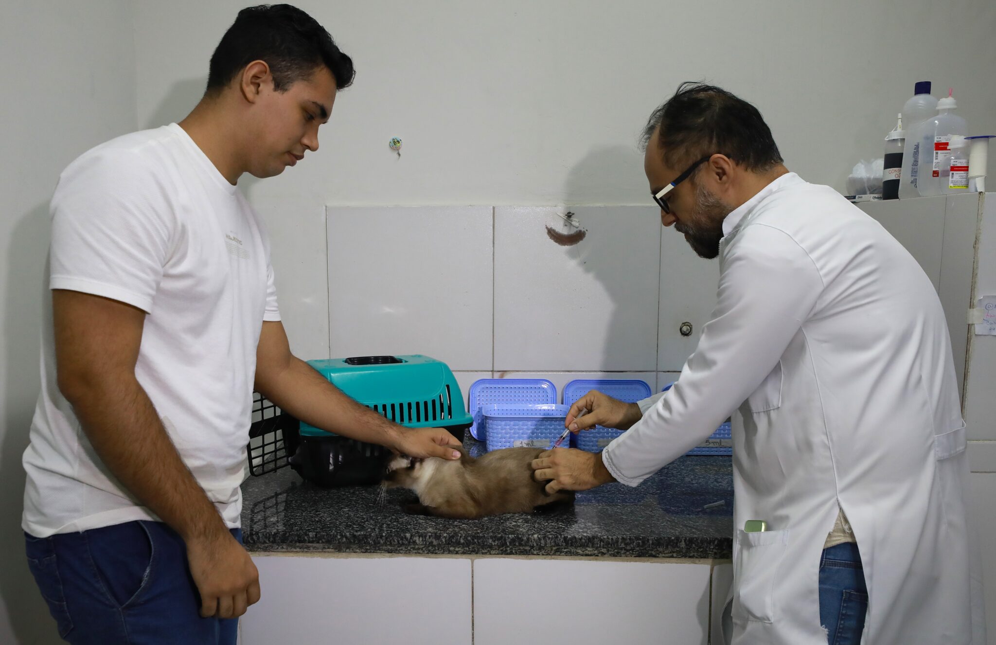 Icoaraci recebe carreta de atendimento veterinário gratuito para cães e gatos