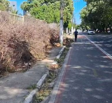 Imagem - Morador denuncia descarte de galhos em calçada do Correios e bloqueio de passagem na Pedro Álvares Cabral