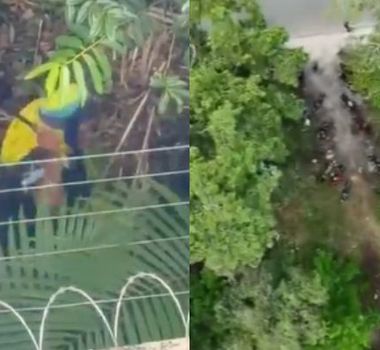 Imagem - Justiça determina reintegração de posse em área ocupada no Parque Verde e autoriza uso de força policial