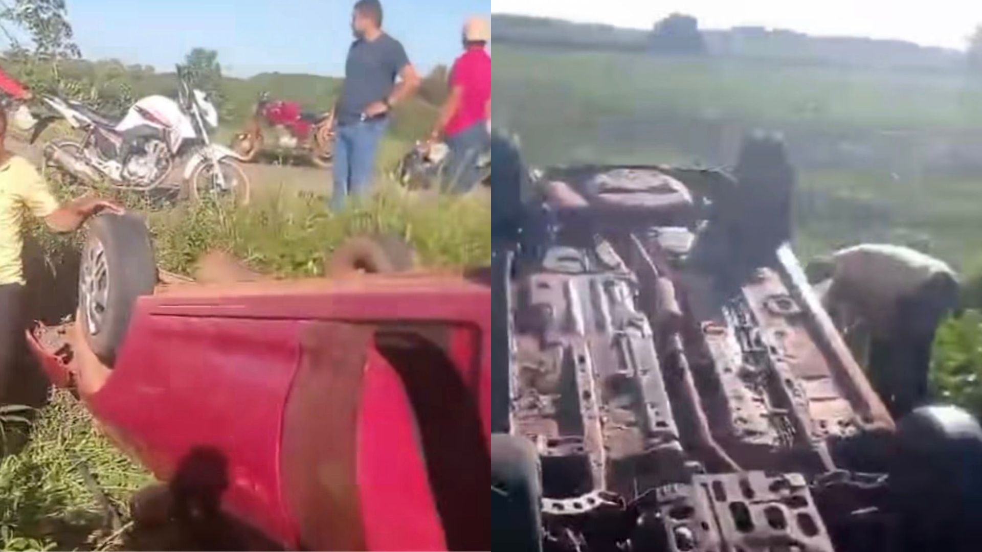 Acidente entre veículo de saúde e animal é registrado na PA-124, em Garrafão do Norte