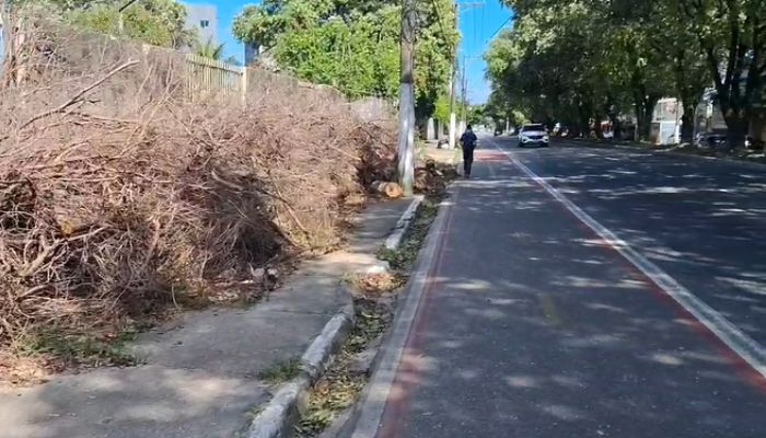 Morador denuncia descarte de galhos em calçada do Correios e bloqueio de passagem na Pedro Álvares Cabral