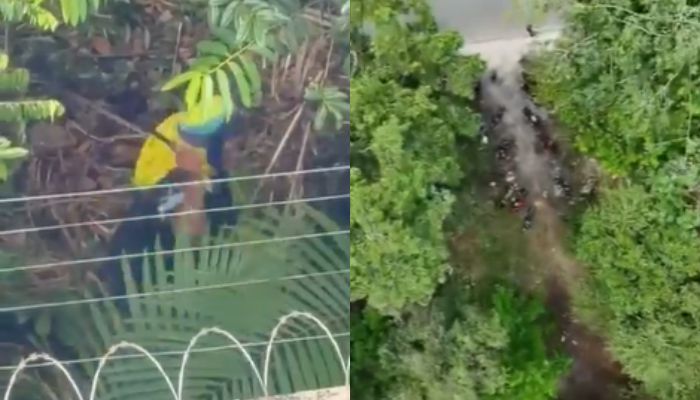 Moradores denunciam avanço de ocupação e desmatamento em área de mata no Parque Verde, em Belém